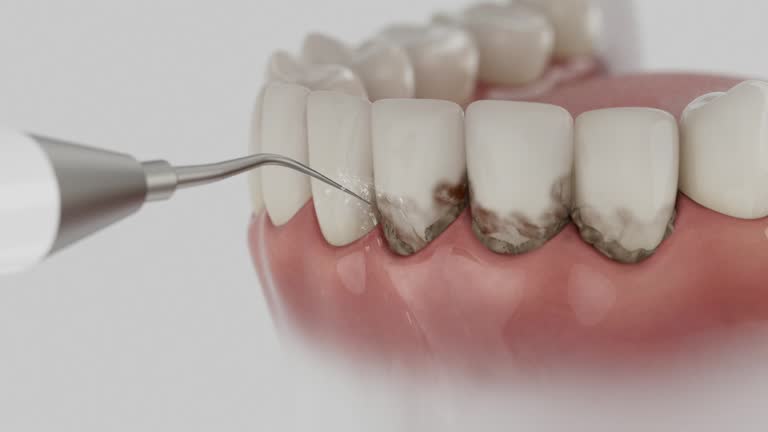 Reliable Dental contractor in Choccolocco, AL by Dentist Open Now
